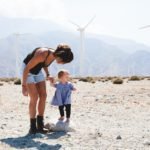 These cases are perfectly simple and easy to distinguish