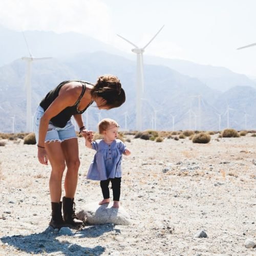 These cases are perfectly simple and easy to distinguish